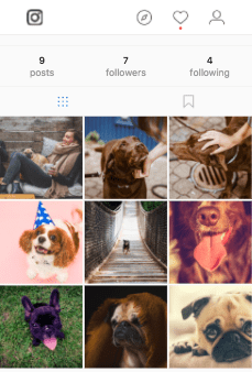 Setting up an Instagram business page